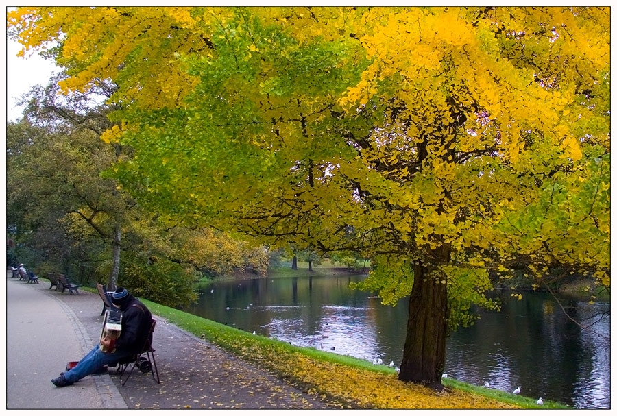 Musik unter*m Gingkobaum