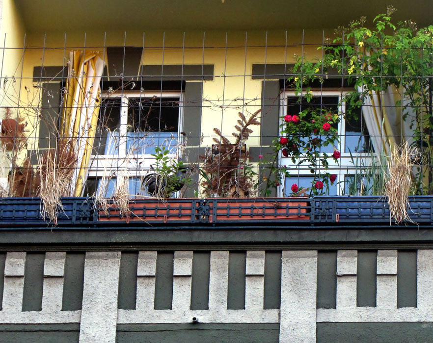 Musikalische Balkon