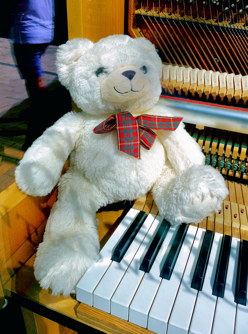 MusikalischerTeddy