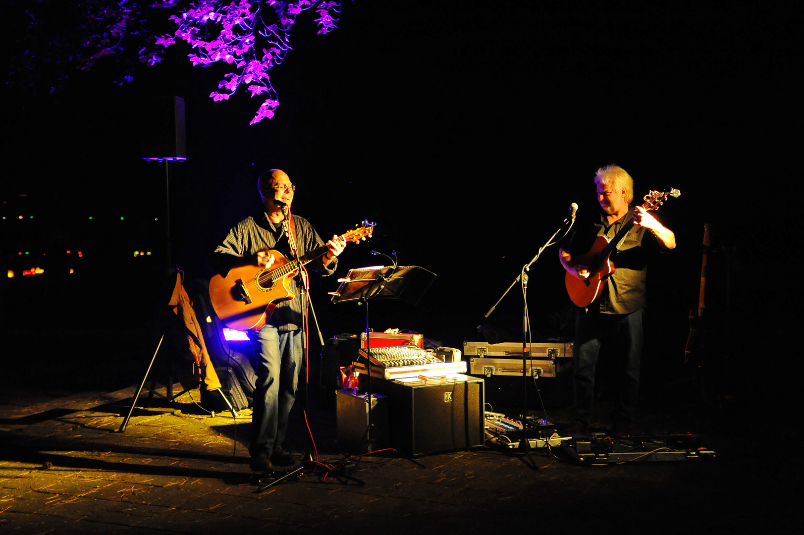 Musiker beim Lichterfest Markkleeberg
