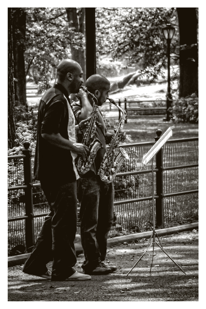 Musiker im Central Park