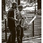 Musiker im Central Park