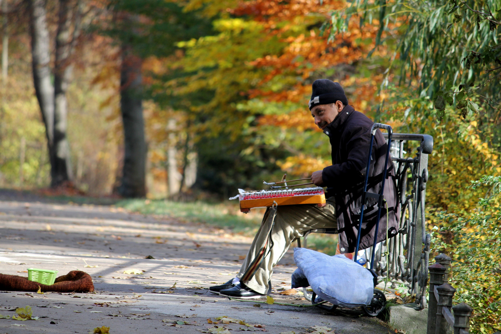 Musiker im englischen Garten