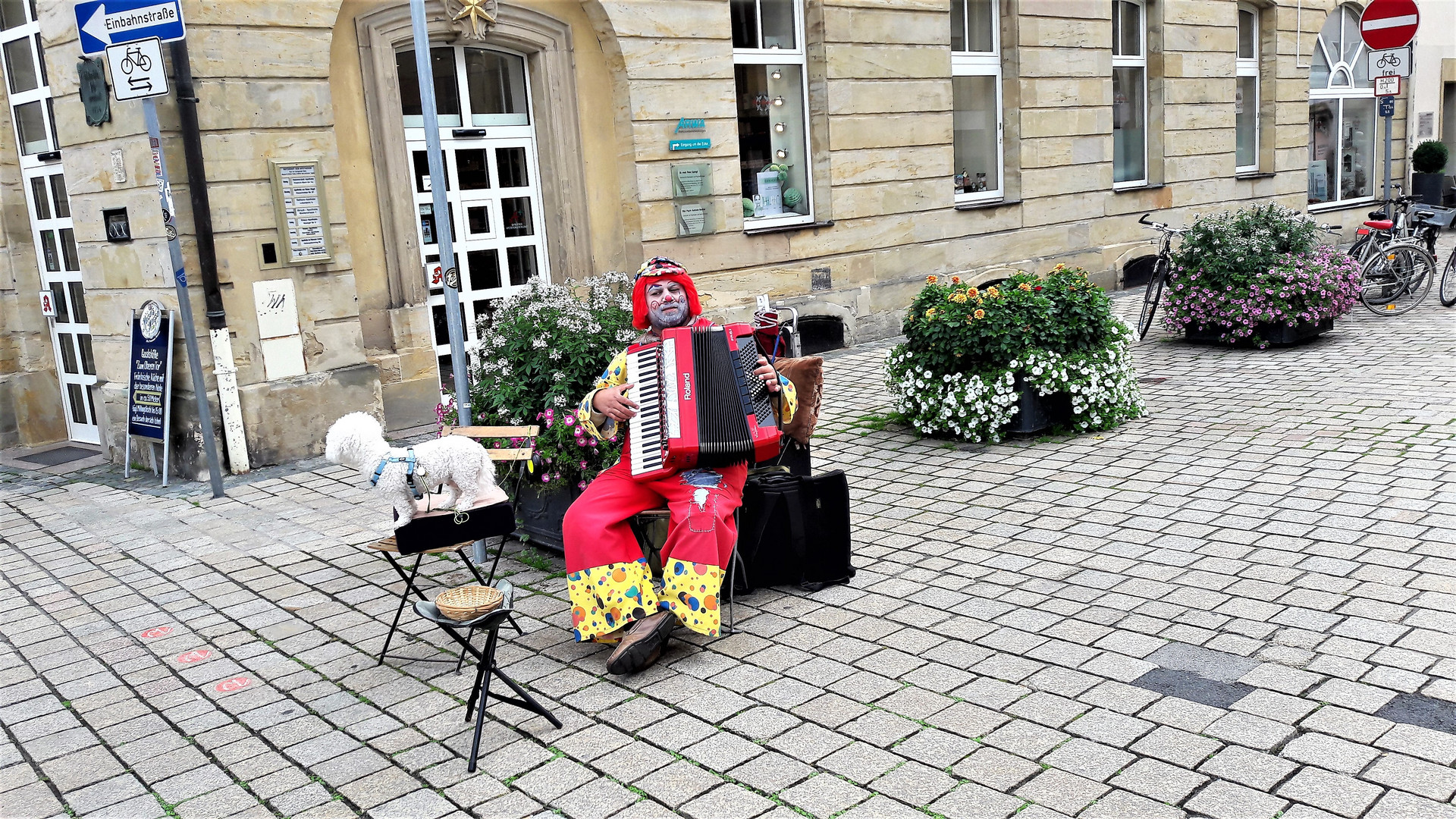 Musiker in Bayreuther Fußgängerzone