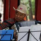 Musiker in Yunnan: Der Akkordeonist