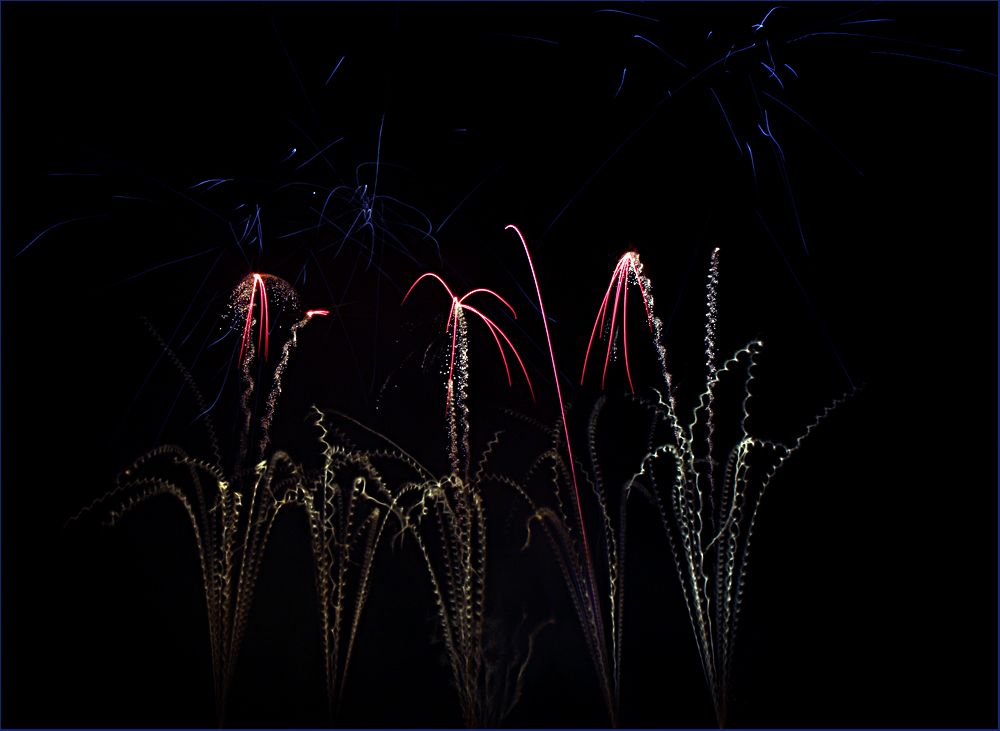 Musikfeuerwerk im 'Blühenden Barock Ludwigsburg' 2014 - XIII