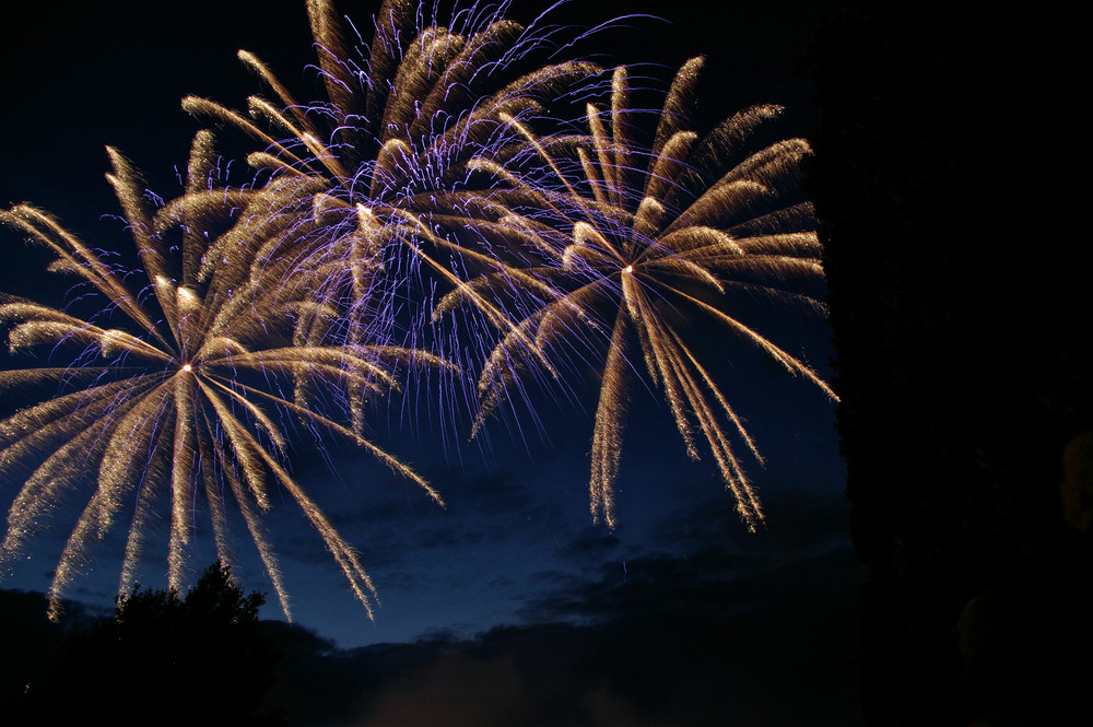 Musikfeuerwerk im Jülicher Brückenkopfpark 2