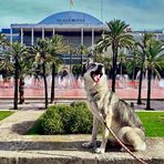 Musikpalast und der singende Hund