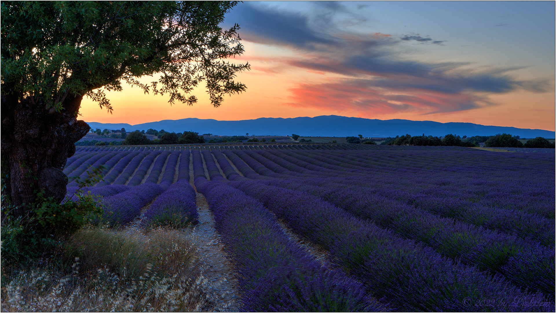 Musique de Provence