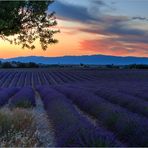 Musique de Provence