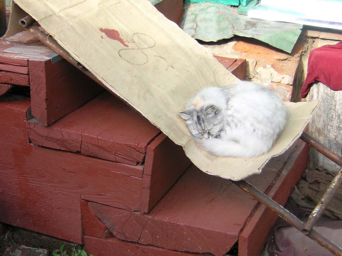 Musja auf der Treppe in Juchnow