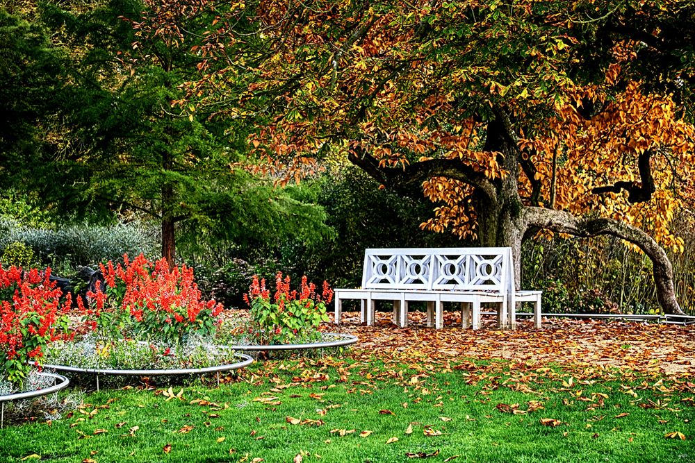 Muskauer Herbst