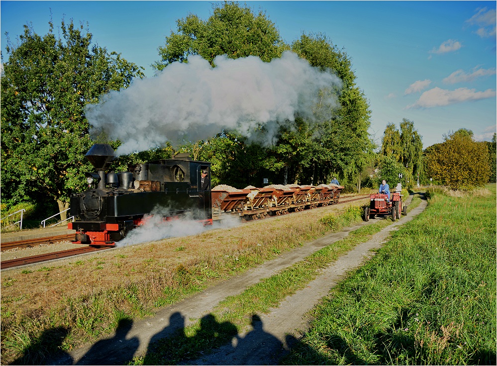 Muskauer Schattenkabinett