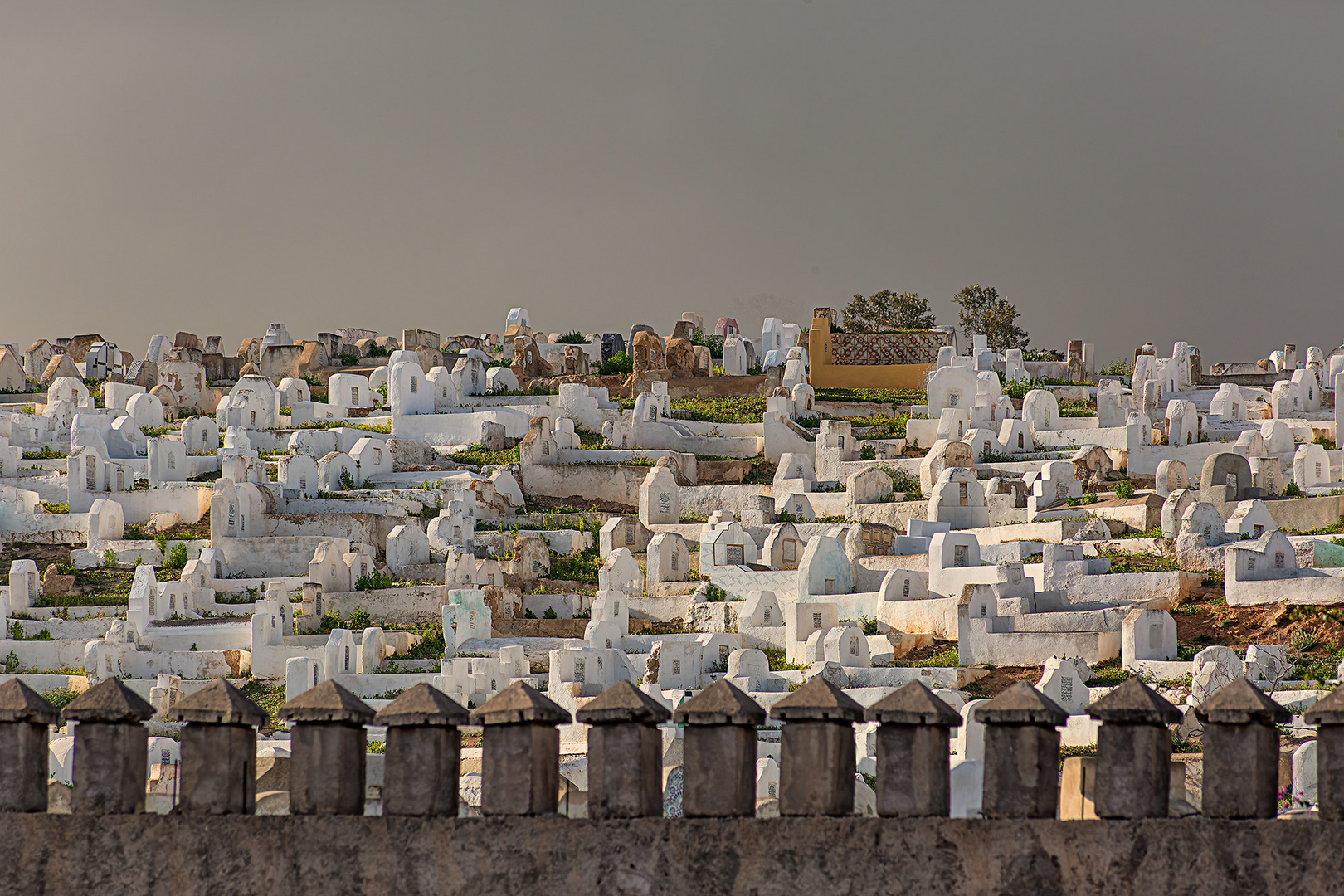 Muslimischer Friedhof in Fes