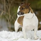 Muß doch mal gucken, wo der Frühling bleibt