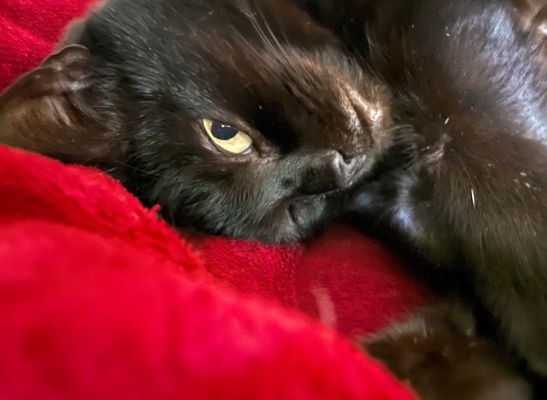 Muss ich schon aufstehen? Ich hab….