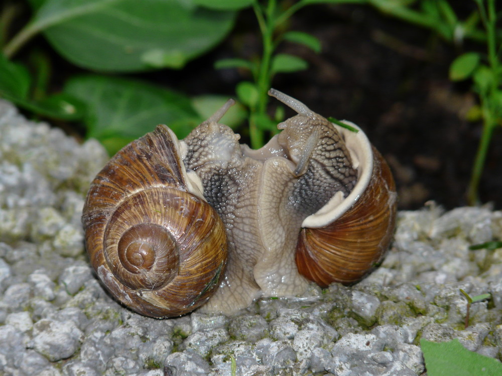 Muss Liebe schön sein!!!