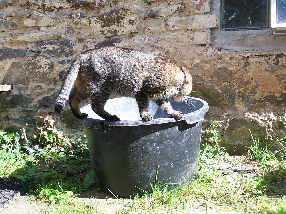 Muß noch etwas Rest lassen...