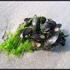 mussel salad