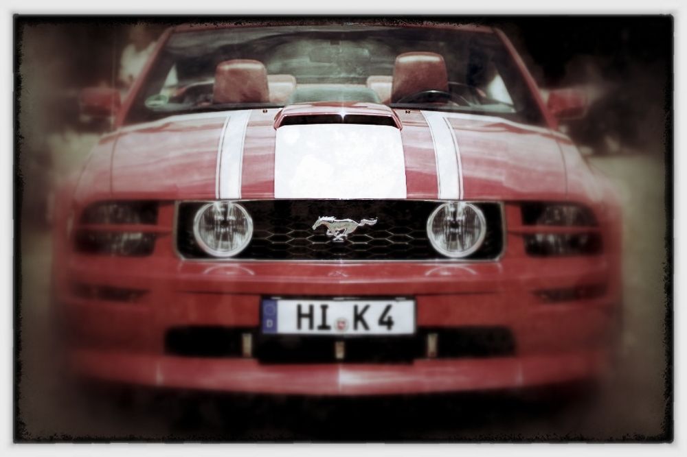 Mustang