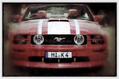 Mustang