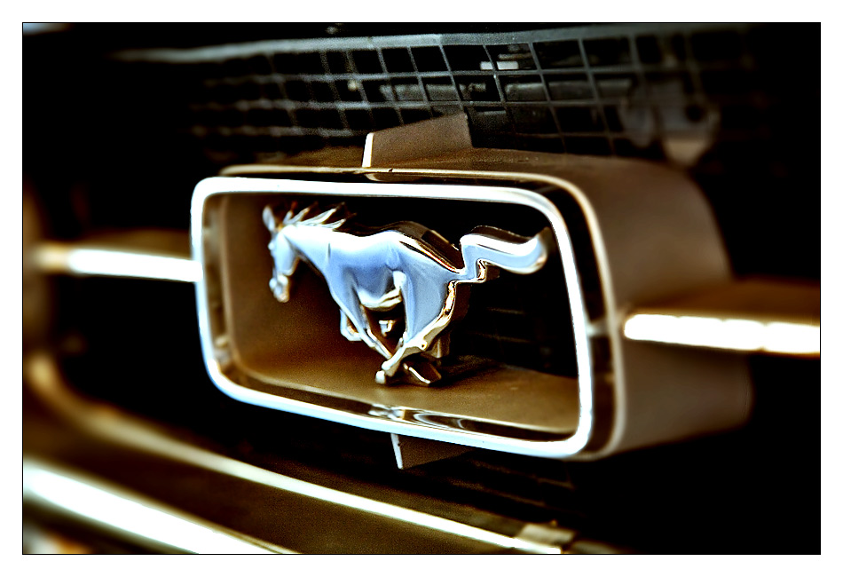 mustang [1]