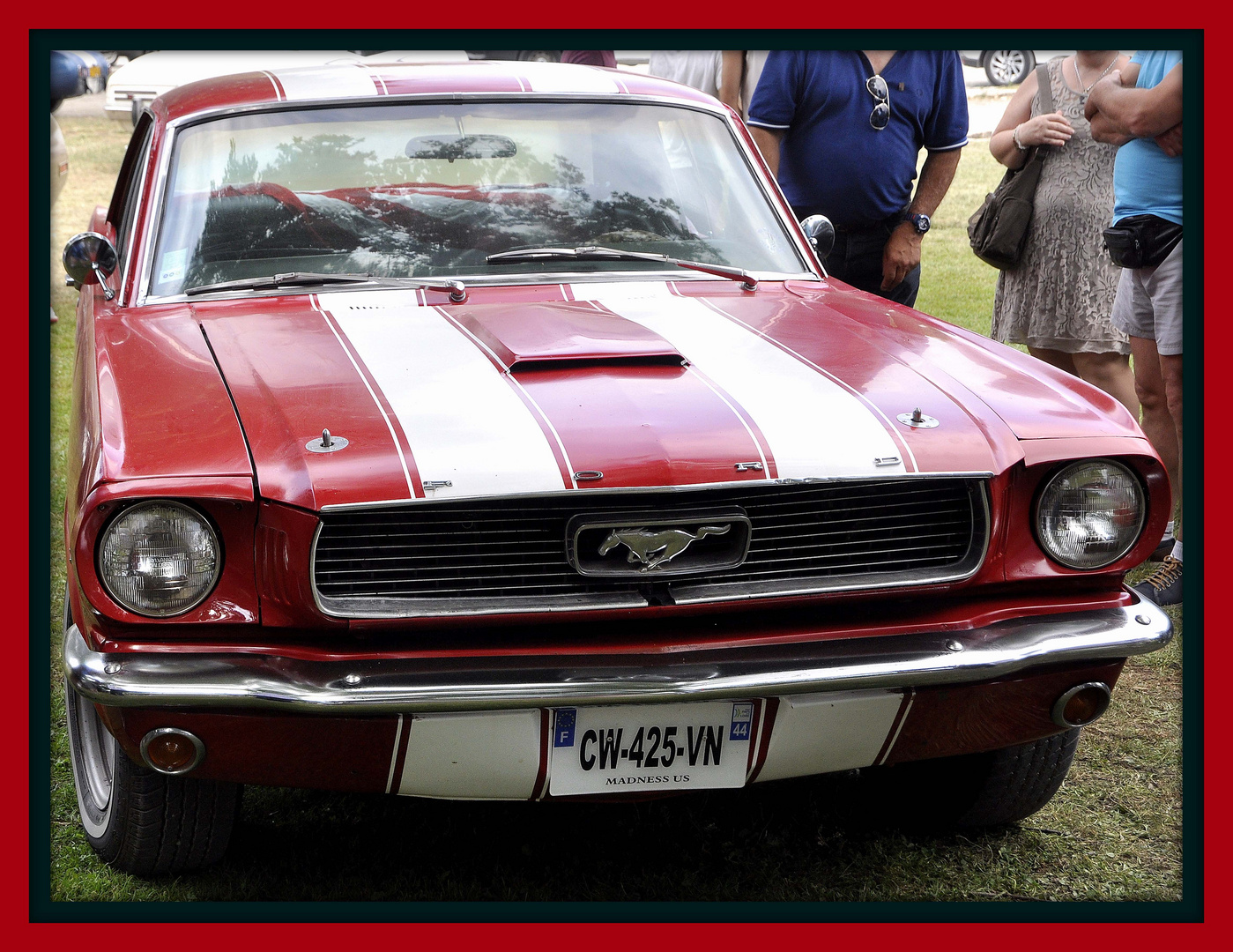 mustang 1