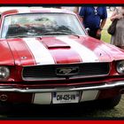 mustang 1