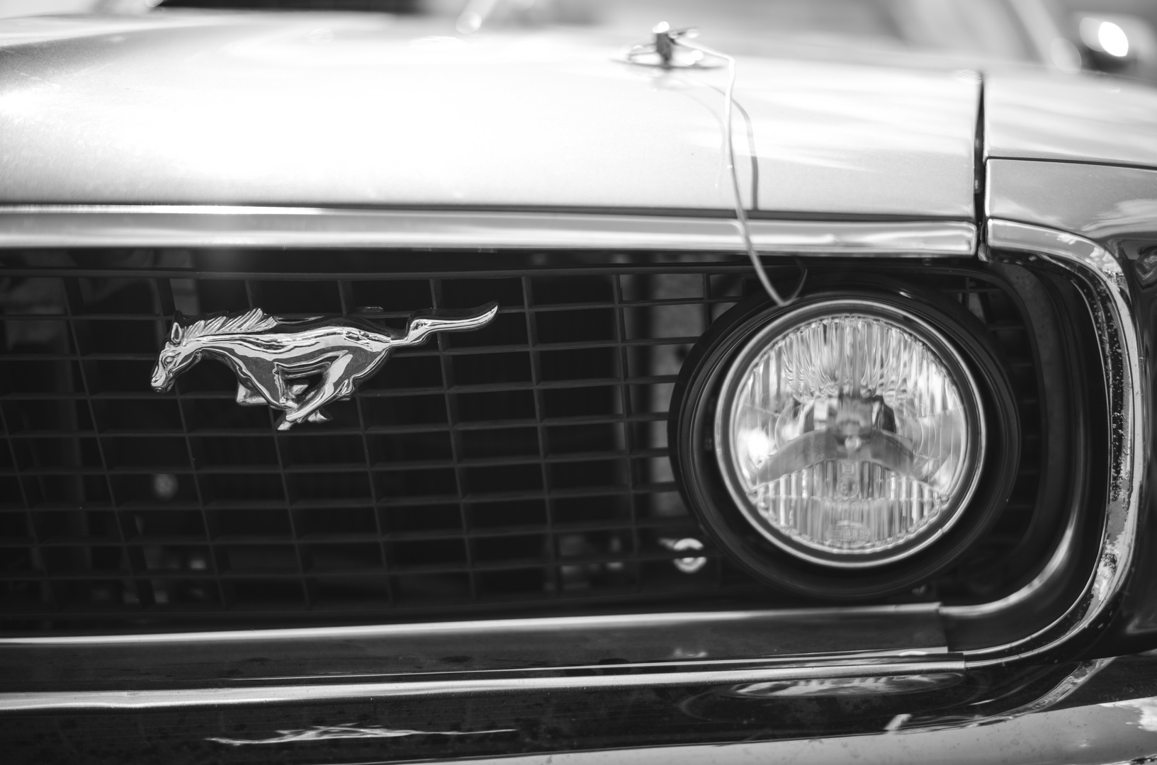 Mustang (1) Gast bei Harley Days