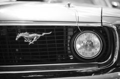 Mustang (1) Gast bei Harley Days