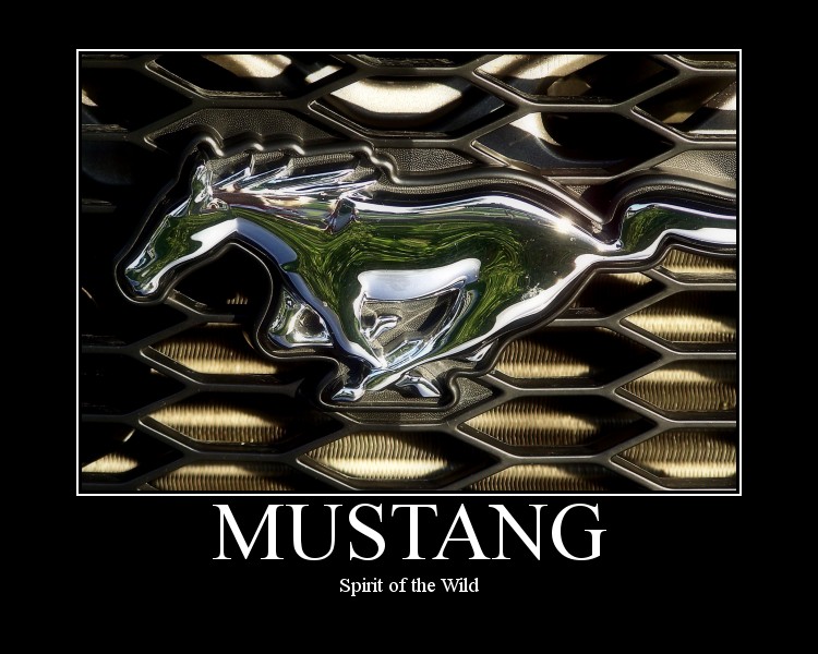 Mustang