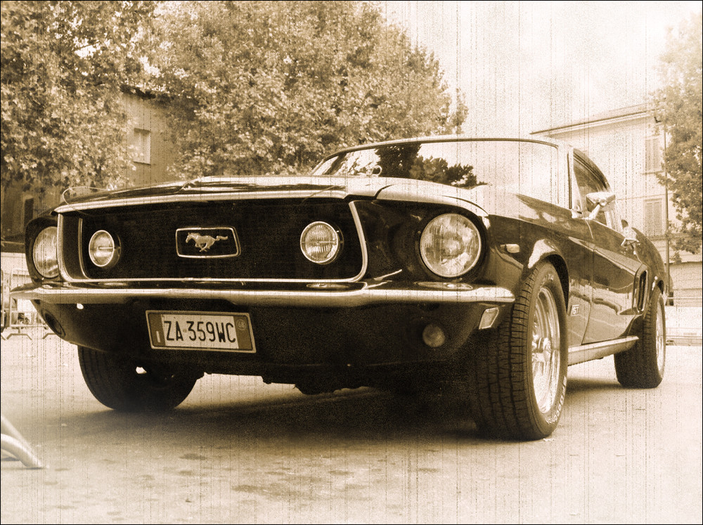 Mustang...