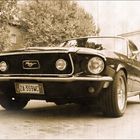 Mustang...