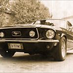 Mustang...