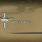 Mustang 2