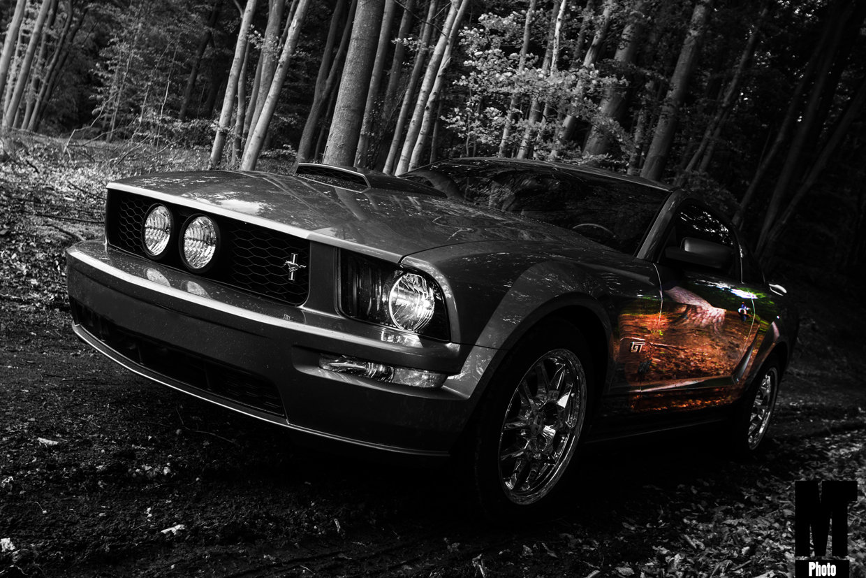 Mustang 2007