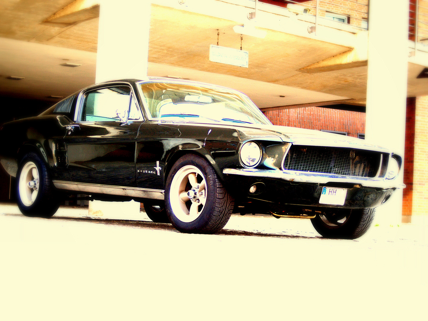 Mustang