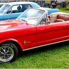 Mustang 289 Convertible