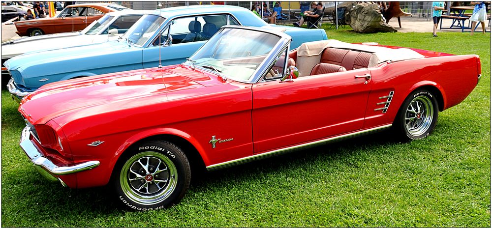 Mustang 289 Convertible