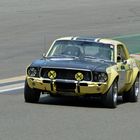 Mustang 302