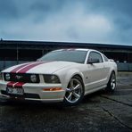 Mustang