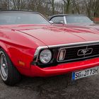 Mustang