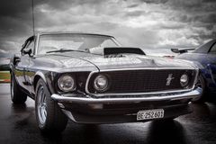 Mustang (5)