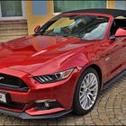 MUSTANG 5.0 GT