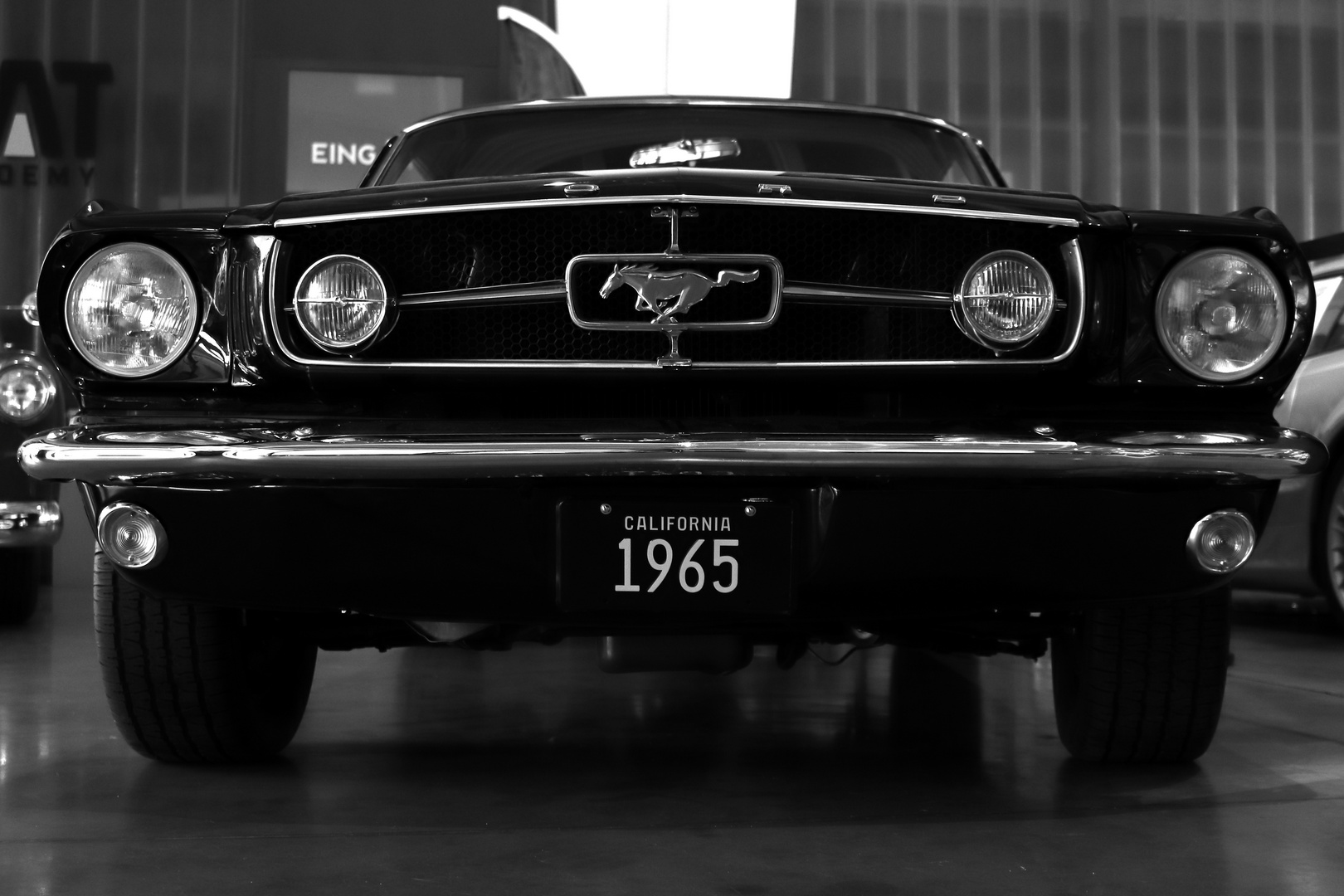 Mustang...