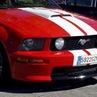 ...Mustang...