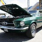 Mustang