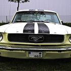 MUSTANG