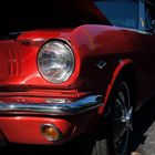 Mustang (7)