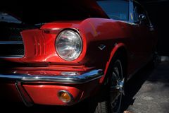 Mustang (7)